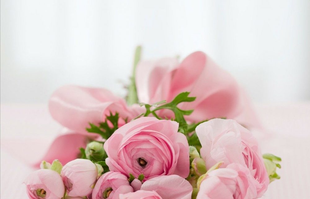Blomster er en nem og personlig hilsen Blomster er en nem og personlig hilsen